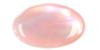 Shell-Pink Mussel